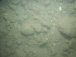 sea-floor photo