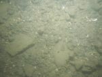 sea-floor photo