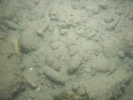 sea-floor photo