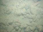 sea-floor photo