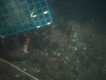 sea-floor photo