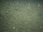 sea-floor photo