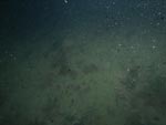 sea-floor photo