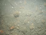 sea-floor photo