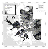 Figure 3.7. Map showing bottom sample locations and bottom photo locations overlain on a map of acoustic backscatter. Photographs and video were obtained at all sites. Samples could not be collected at sites where the bottom was cobble or rocky (yellow dots). 