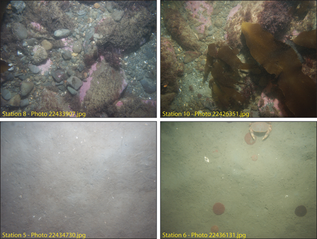 Figure 4.18.  Photographs of the sea floor east of Nantasket.