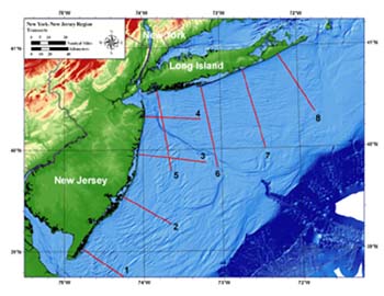 Example of shore-normal transects for Long Island and New Jersey, where usSEABED data may be examined superimposed on high resolution NOAA bathymetry.