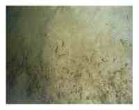Figure 14. Bottom photograph showing an example of a sedimentary environment characterized by deposition. 