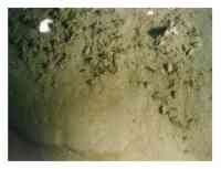 Figure 15. Bottom photograph showing an example of a sedimentary environment characterized by sorting or reworking. 