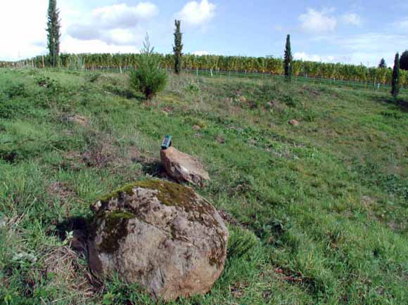 photo of grape vines with basalt boulder in foreground; GPS unit sits on 2-foot boulder for scale