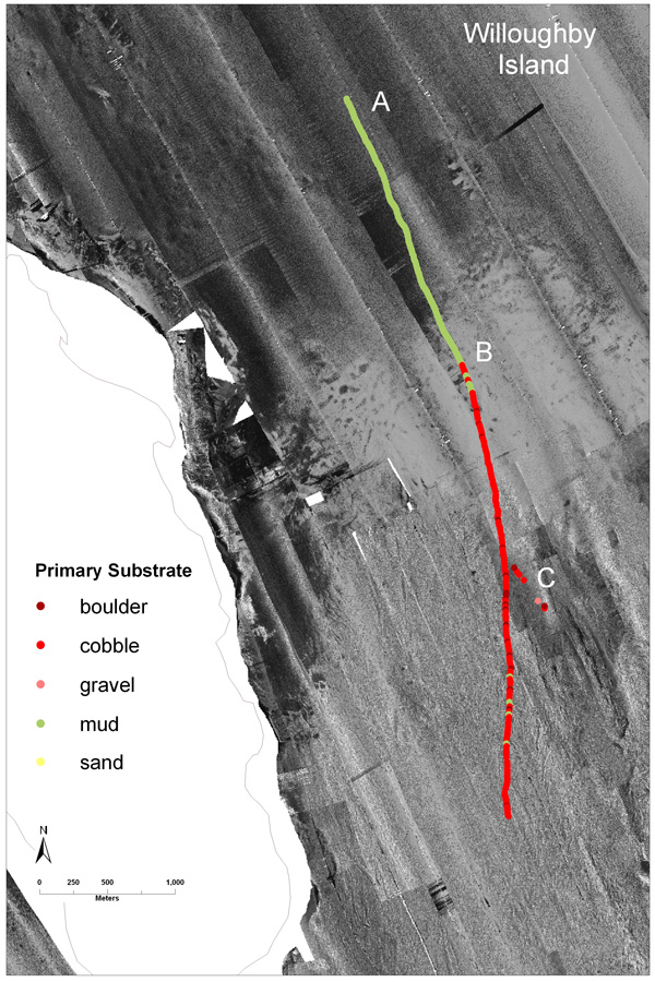 Figure 4. Acoustic backscatter data and video observations illustrate a region of transition in seafloor properties east of Willoughby Island, from soft, muddy sediment in the north (top) to coarse-grained boulders and cobbles in the south.