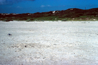 High continuous dunes.