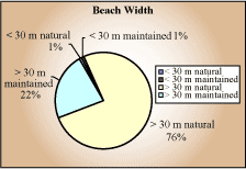 Beach width pie chart - greater than 30 meters natural 76%; greater than 30 meters maintained 22%, less than 30 meters natual 1%, less than 30 meters maintained 1%