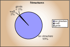 Structures pie chart - no structure 99%, wall 1%, groins less than 1%