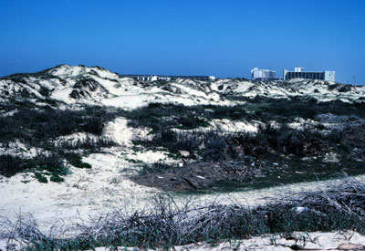 High, continuous, and partly vegetated dunes.