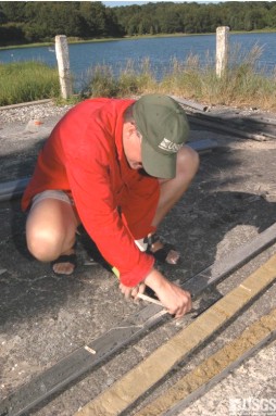 Scientist describing cores.