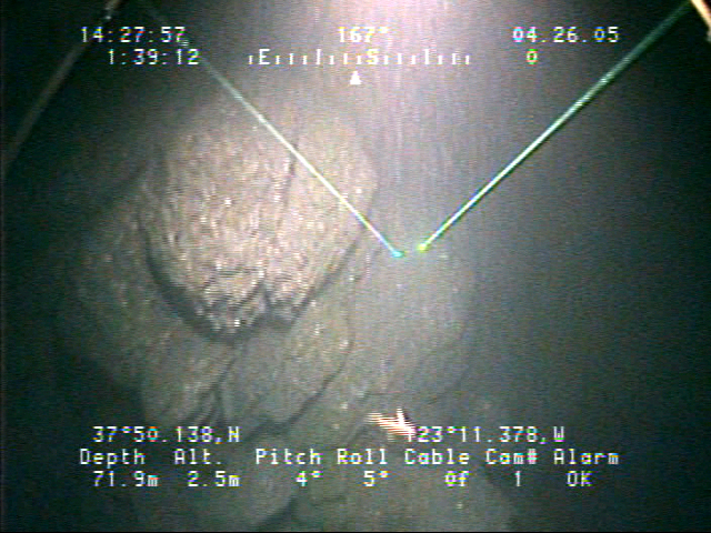 Image 4. A view from above the rock outcrop showing verticle relief of abot 2.5 m from the bright rock in forground to the dark depths in the background of the image.