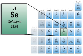 Graphic showing the position of selenium in the periodic table