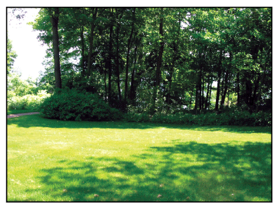 Figure 2 - Typical site with lawn, lawn/woods interface,
and wooded buffer