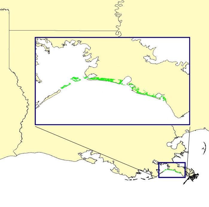 shoreline for Plaquemines Barrier Island System, 1996.