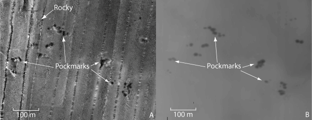 Figure 7. Sidescan sonar image of circular depressions ; bathymetry image of same area.