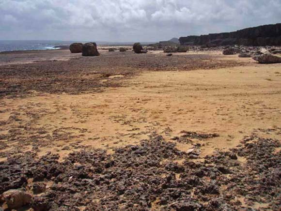photo of shore with large clasts in foreground