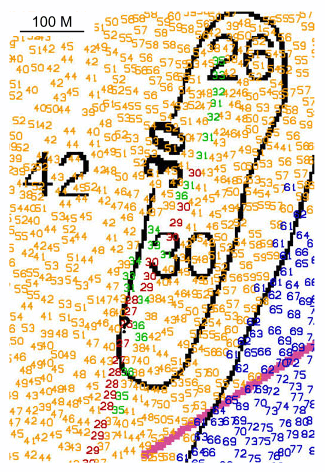 Figure 36. Detailed comparative view of the crest line from the largest sand wave south of Pasque Island.   