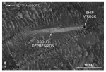 Figure 44.  Detailed planar view of a scour depression associated with a shipwreck south of Pasque Island from the sidescan sonar mosaic produced during NOAA survey H11076. 