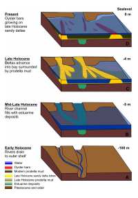 Figure 14. Schematic block diagram showing important steps in the evolution of the Apalachicola Bay region since the last lowstand of sea level.	