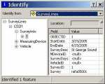 Figure 18.  An example of the information provided in the identify dialog box.