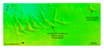 Figure 29. Detailed planar view of the barchanoid sand waves near the northeastern end of Great Round Shoal Channel from the DTM produced during NOAA survey H11079. 