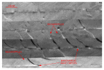 Figure 30.  Detailed planar view of the sidescan-sonar mosaic produced during NOAA survey H11079 showing curved alternating bands of high and low backscatter  pattern indicative of individual and complex barchanoid sand waves.   