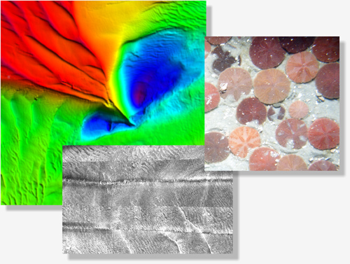 Collage of colors and textures.