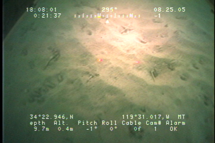 image of The zone of transition between boturbated and sand ripples in the center of camera line 15.