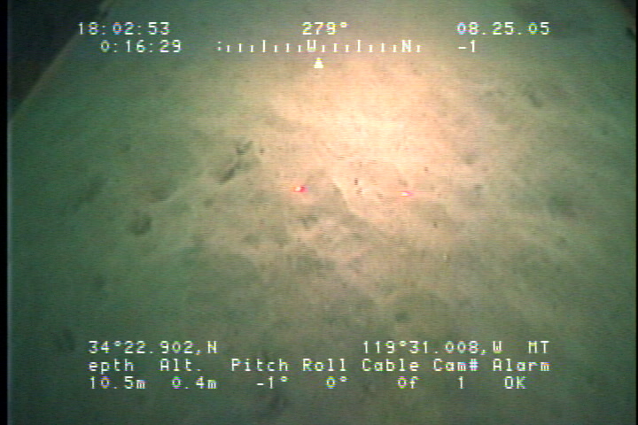Image of the deepest point of camera line 15. Here the ripples are more degraded by bioturbation. 