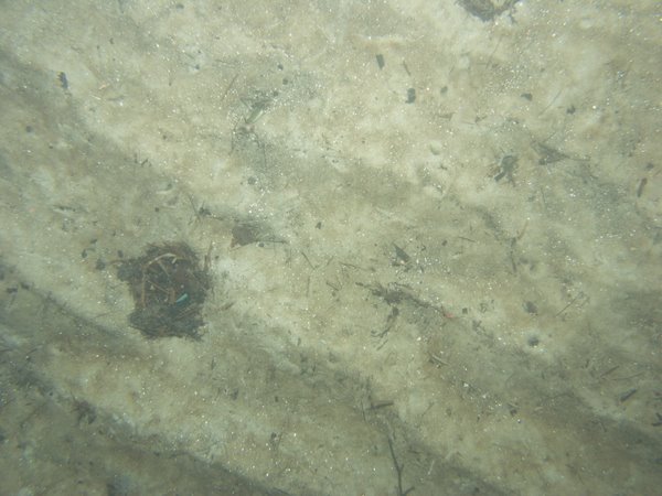 Image of seabed - photo.