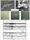 Figure 4.2.Maps showing bathymetry (upper left) and acoustic-backscatter intensity (upper right) in the south-central part of the survey area.The eroded remnants of a large till deposit, probably a drumlin or moraine, represents a discrete Rocky Zone (RZ) surrounded by Nearshore Ramp (NR).Bottom photographs A-C and the seismic-reflection profile (bottom) are indicated by yellow circles and a red line, respectively.The distance across the bottom of the photographs is approximately 50 cm.See Figure 4.1 for location.NR = Nearshore Ramp; RZ = Rocky Zone.A constant seismic velocity of 1500 m/s through water, sediment, and rock was used to convert from two-way travel time to depth.