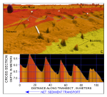 Figure 43. Detailed perspective view of the bathymetry looking north across the sand-wave field east of Great Ledge from the digital terrain model produced during National Oceanic and Atmospheric Administration survey H11077 of Woods Hole, Massachusetts. Line shows location of transect; cross section shows scaled bathymetry and that sand-wave asymmetry indicates net westward transport along the southern part of this sand-wave field. Location of view is shown in figure 19.