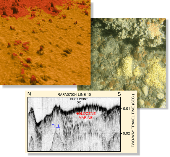 Collage of data from the study area.