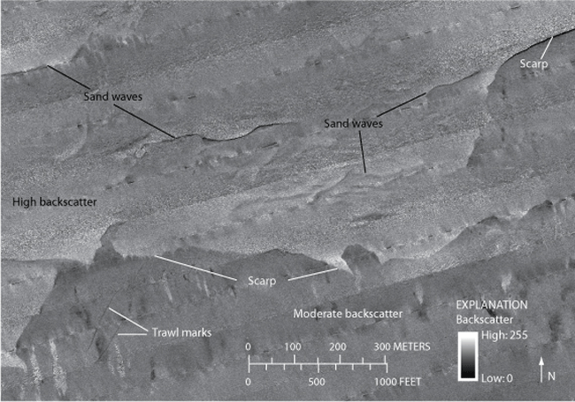 Figure 10. Detailed sidescan-sonar image of an area containing scarps, which show a sharp contrast in backscatter that continues along most of the southern slope of the eastern bathymetric high. Sand waves, oriented generally east-west, and higher backscatter are observed north of the scarp. Trawl marks can be seen in the area of moderate backscatter south of the scarp. Location of image shown in figure 2. 