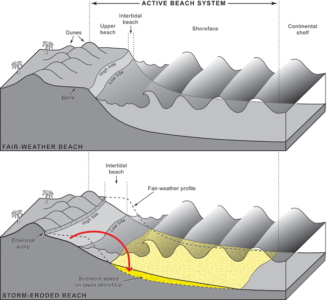 Figure 1.2. Schematic diagrams of the active beach system, which extends from the dunes to the inner edge of the continental shelf.