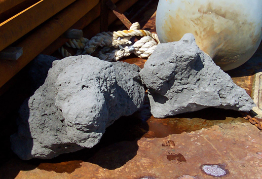 Figure 3.3. Photograph of Late Cretaceous sedimentary rock excavated during engineering work offshore of northern Myrtle Beach.