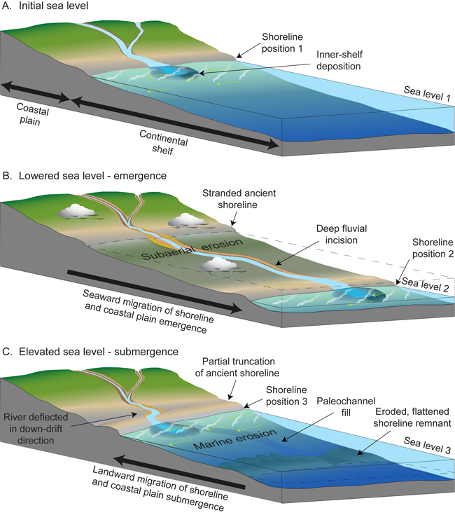 Figure 3.8. A three-phase conceptual model showing evolution of the Grand Strand region over a cycle of emergence-submergence driven by relative sea-level changes.