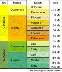 Table 3.1. Geologic time scale from the Jurassic Period to the present day.