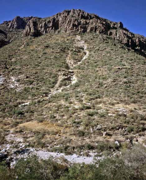 photo of debris flow on the side of a steep slope