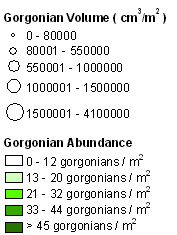 Gorgonians legend