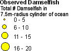 Pomacentridae (Damselfish) legend