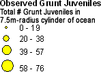 Haemulidae (Grunts) - Juveniles legend