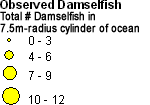 Pomacentridae (Damselfish) legend