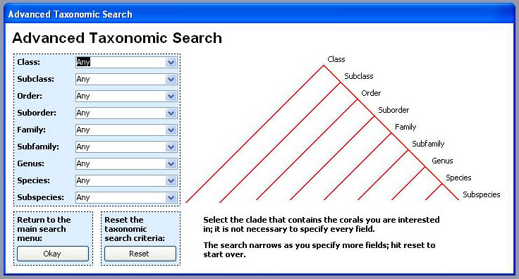 Figure 6, screen shot of Taxonomic Search page.